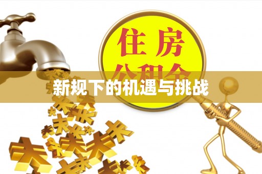 西市新规下的机遇与挑战