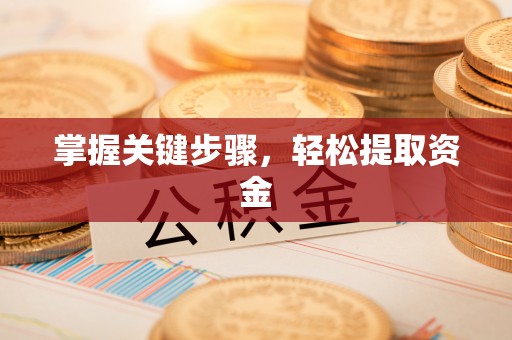 西市掌握关键步骤，轻松提取资金