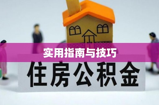 西市实用指南与技巧