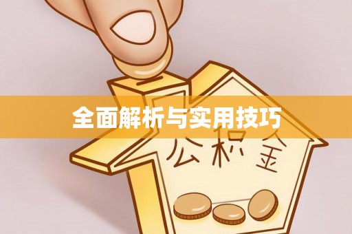 西市全面解析与实用技巧